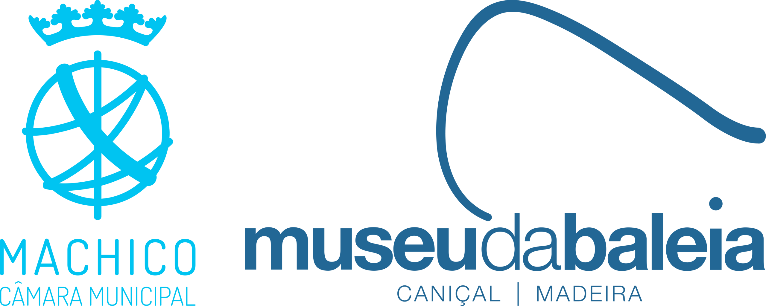 Museu da Baleia da Madeira Museu da Baleia da Madeira